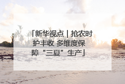 新华视点｜抢农时 护丰收 多维度保障“三夏”生产