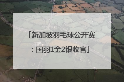 新加坡羽毛球公开赛：国羽1金2银收官