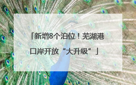 新增8个泊位！芜湖港口岸开放“大升级”