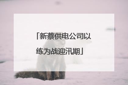 新蔡供电公司以练为战迎汛期