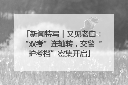 新闻特写｜又见老白：“双考”连轴转，交警“护考档”密集开启