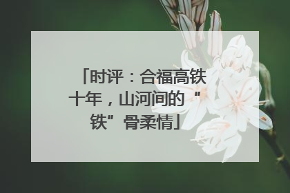 时评：合福高铁十年，山河间的“铁”骨柔情