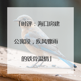 时评：海口房建公寓段，疾风骤雨的铁骨温情