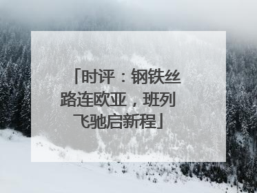 时评：钢铁丝路连欧亚，班列飞驰启新程