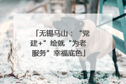 无锡马山：“党建+”绘就“为老服务”幸福底色