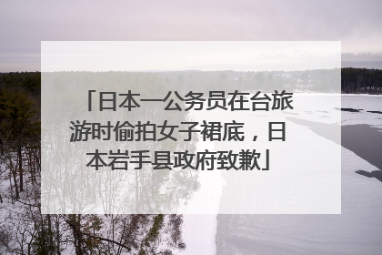 日本一公务员在台旅游时偷拍女子裙底，日本岩手县政府致歉