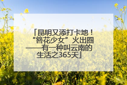 昆明又添打卡地！“簪花少女”火出圈——有一种叫云南的生活之365天