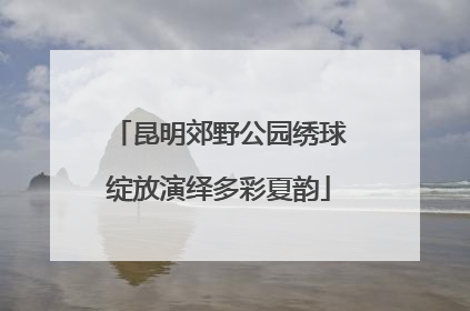昆明郊野公园绣球绽放演绎多彩夏韵