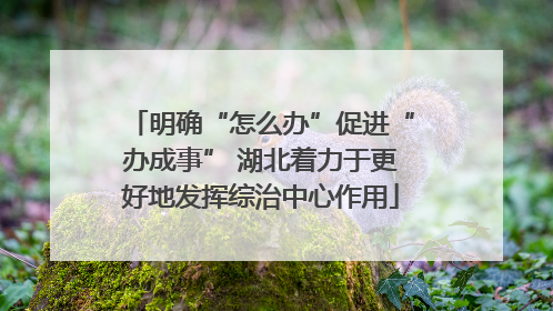 明确“怎么办”促进“办成事” 湖北着力于更好地发挥综治中心作用