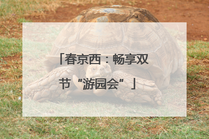 春京西：畅享双节“游园会”