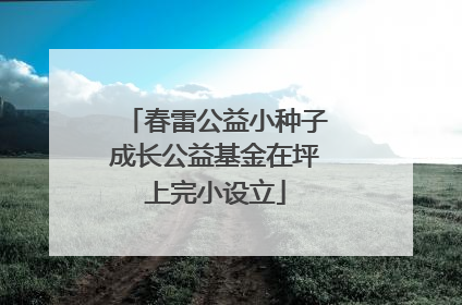 春雷公益小种子成长公益基金在坪上完小设立