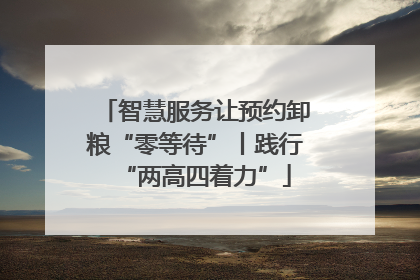 智慧服务让预约卸粮“零等待”丨践行“两高四着力”