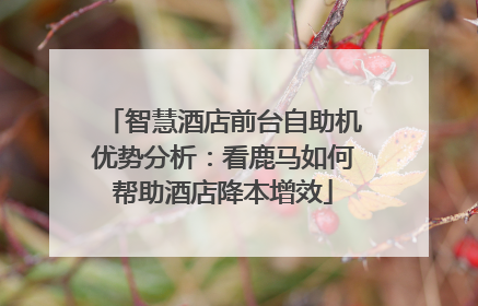 智慧酒店前台自助机优势分析：看鹿马如何帮助酒店降本增效