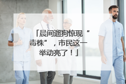 晨间遛狗惊现“毒株”，市民这一举动亮了！