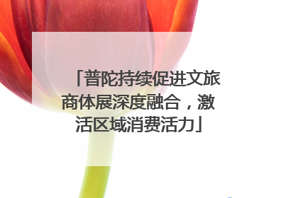 普陀持续促进文旅商体展深度融合，激活区域消费活力