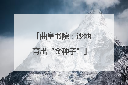 曲阜书院：沙地育出“金种子”