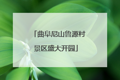 曲阜尼山鲁源村景区盛大开园