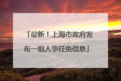最新！上海市政府发布一组人事任免信息