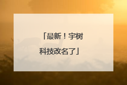 最新！宇树科技改名了