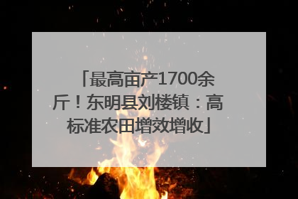 最高亩产1700余斤！东明县刘楼镇：高标准农田增效增收