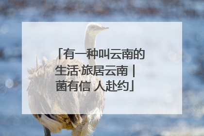 有一种叫云南的生活·旅居云南｜菌有信 人赴约