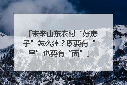 未来山东农村“好房子”怎么建？既要有“里”也要有“面”