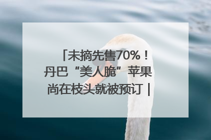 未摘先售70%！丹巴“美人脆”苹果尚在枝头就被预订｜长征路上看四川