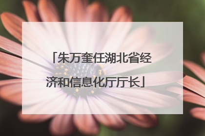 朱万奎任湖北省经济和信息化厅厅长