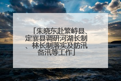 朱晓东赴繁峙县、定襄县调研河湖长制、林长制落实及防汛备汛等工作