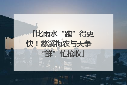 比雨水“跑”得更快！慈溪梅农与天争“鲜”忙抢收