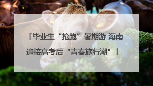 毕业生“抢跑”暑期游 海南迎接高考后“青春旅行潮”