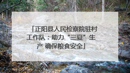 正阳县人民检察院驻村工作队：助力“三夏”生产 确保粮食安全