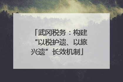 武冈税务：构建“以税护遗、以旅兴遗”长效机制