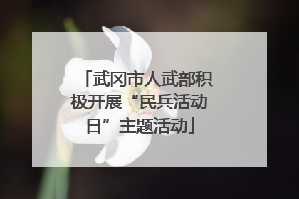 武冈市人武部积极开展“民兵活动日”主题活动