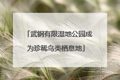 武钢有限湿地公园成为珍稀鸟类栖息地