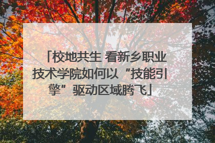 校地共生 看新乡职业技术学院如何以“技能引擎”驱动区域腾飞