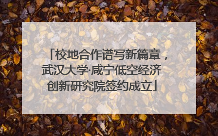 校地合作谱写新篇章，武汉大学·咸宁低空经济创新研究院签约成立