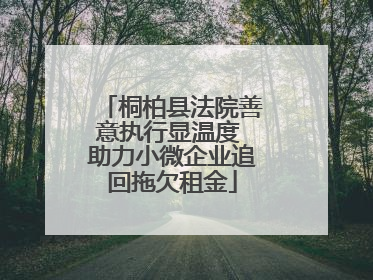 桐柏县法院善意执行显温度 助力小微企业追回拖欠租金