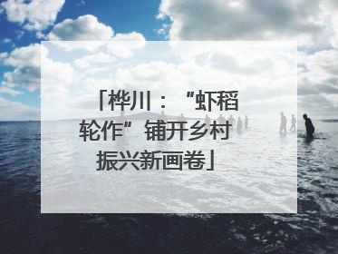桦川：“虾稻轮作”铺开乡村振兴新画卷