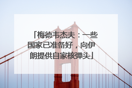 梅德韦杰夫：一些国家已准备好，向伊朗提供自家核弹头