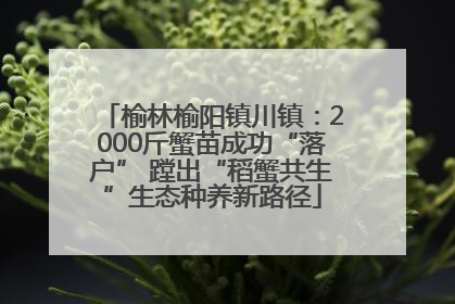榆林榆阳镇川镇：2000斤蟹苗成功“落户” 蹚出“稻蟹共生”生态种养新路径