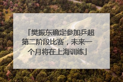 樊振东确定参加乒超第二阶段比赛，未来一个月将在上海训练