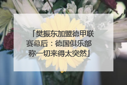 樊振东加盟德甲联赛幕后：德国俱乐部称一切来得太突然