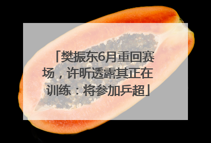 樊振东6月重回赛场，许昕透露其正在训练：将参加乒超