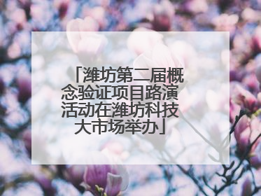 潍坊第二届概念验证项目路演活动在潍坊科技大市场举办