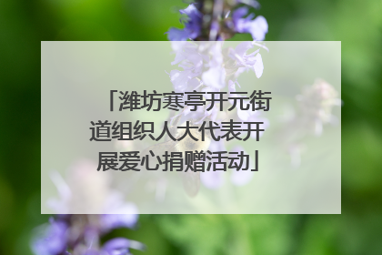 潍坊寒亭开元街道组织人大代表开展爱心捐赠活动