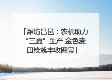 潍坊昌邑：农机助力“三夏”生产 金色麦田绘就丰收图景