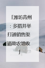 潍坊青州：多措并举打通销售渠道助农增收