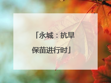 永城：抗旱保苗进行时