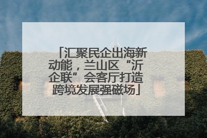 汇聚民企出海新动能，兰山区“沂企联”会客厅打造跨境发展强磁场